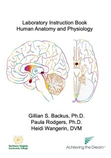 Anatomy and Physiology I OER Lab Manual book cover