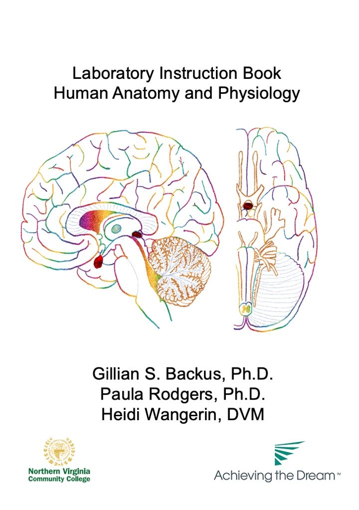 Cover image for Anatomy and Physiology I OER Lab Manual