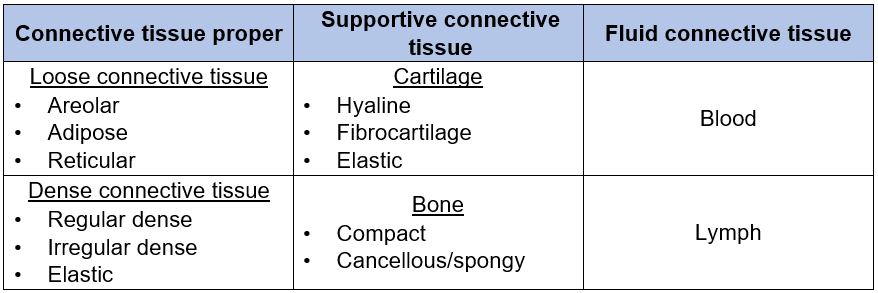 The main categories of connective tissue and the 13 subtypes of connective tissue.