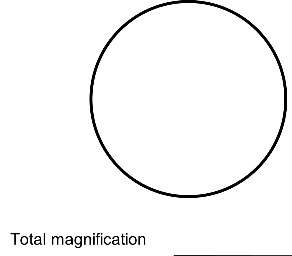 Total Magnification