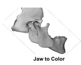 Jaw to Color