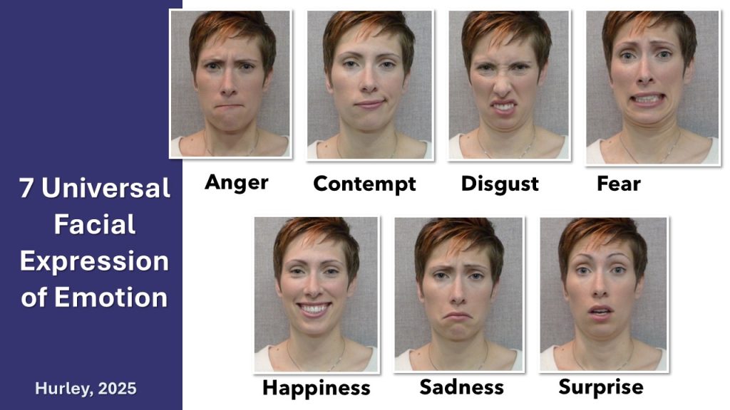 7 Universal facial expressions of emotion