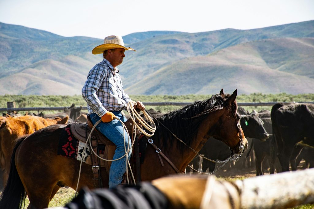 A person riding a horse