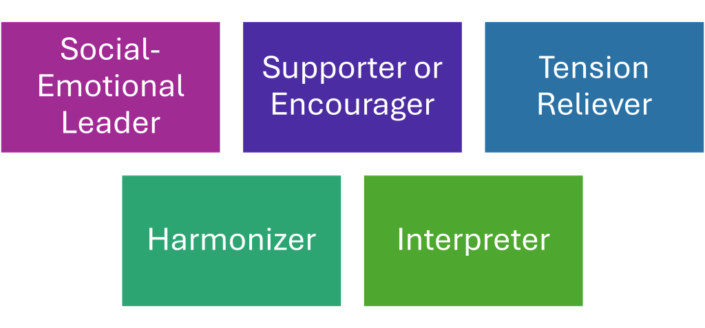 Social Roles include: Social-Emotional LeaderSupporter or Encourager Tension Reliever Harmonizer Interpreter