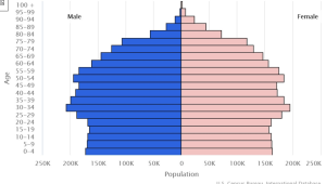 Norwegian population pyramid