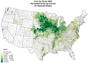 Corn harvested acres by county, 2022