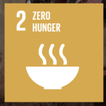 to visit the goals on the UN website