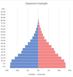 Population Pyramid Expansive Example