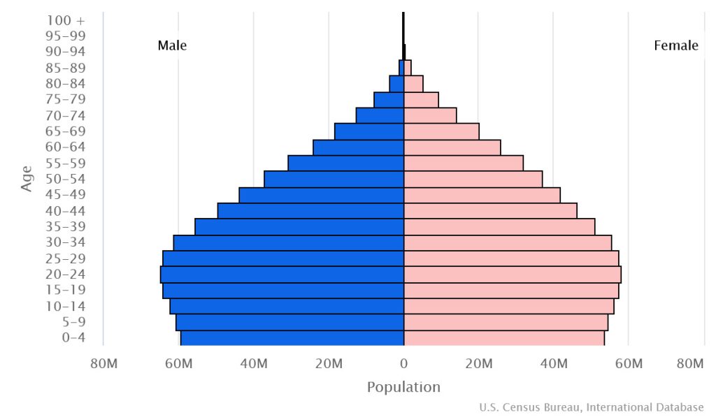 This is the population pyramid for India.