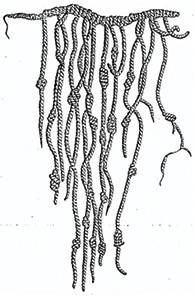 quipu -- a series of knots and strings the Inca used to communicate and keep records