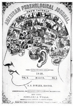 print of a human head with the different phrenological areas designated.