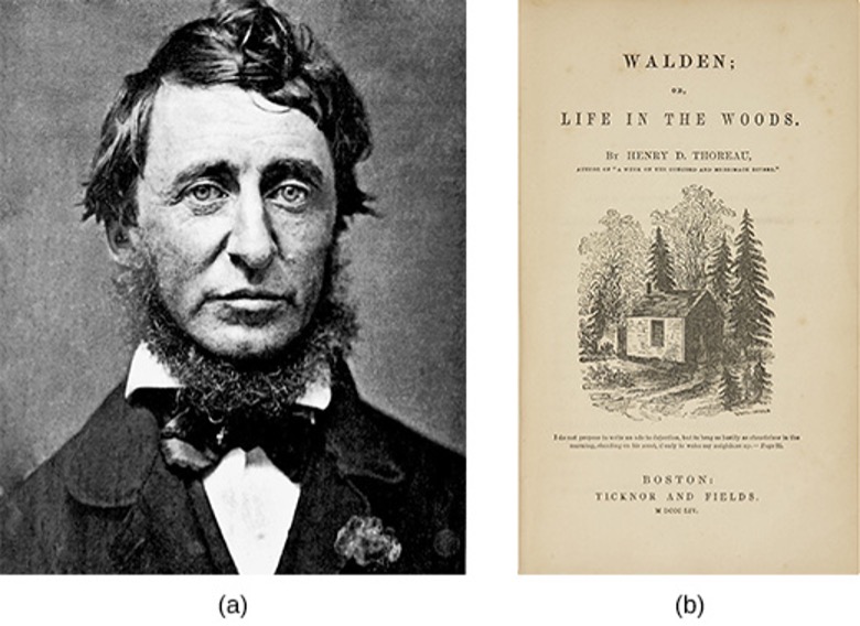 Two Images. (a) Portrait of Henry David Thoreau and (b) frontispiece of Thoreau’s Walden; or, Life in the Woods