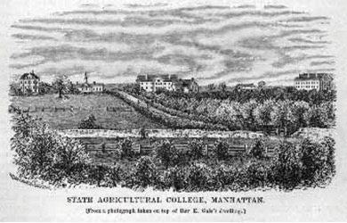 Print of Kansas State University identified as the "State Agricultural College, Manhattan". The university is set in the countryside at the end of along tree-lined street.