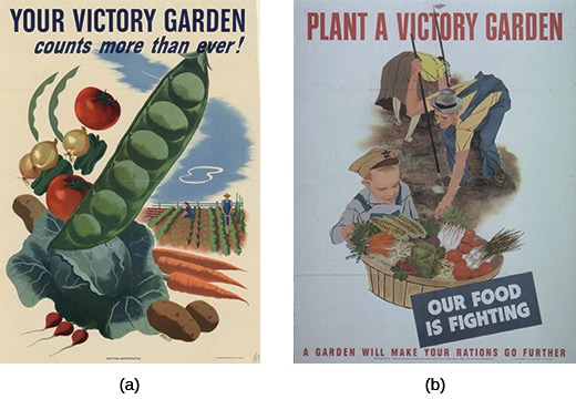 A two-part image showing World War II propaganda posters promoting Victory Gardens. (a) is a colorful poster featuring large vegetables with a field and small figures gardening in the background. Text reads "YOUR VICTORY GARDEN counts more than ever!". (b) is a poster showing adults and a child gardening, with a basket of vegetables in the foreground. Text reads "PLANT A VICTORY GARDEN" and "OUR FOOD IS FIGHTING".