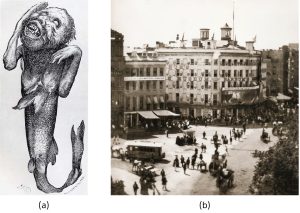 Drawing of the Feejee mermaid (a) from P. T. Barnum’s American Museum and (b) a photograph of the street view in front of the museum